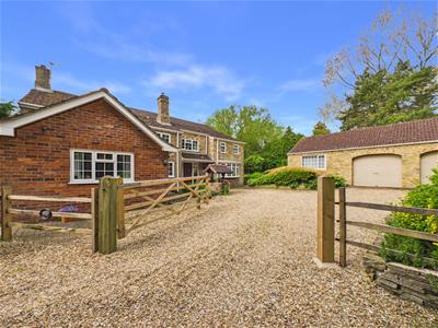 Picture 28